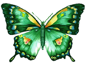Animated-Butterflies-butterflies-20687954-317-238